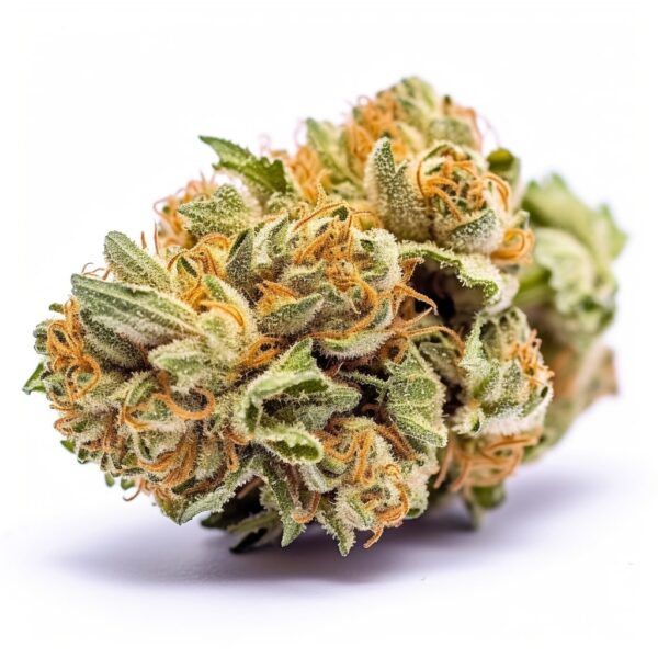 Amnesia Haze - Seeds Genetics