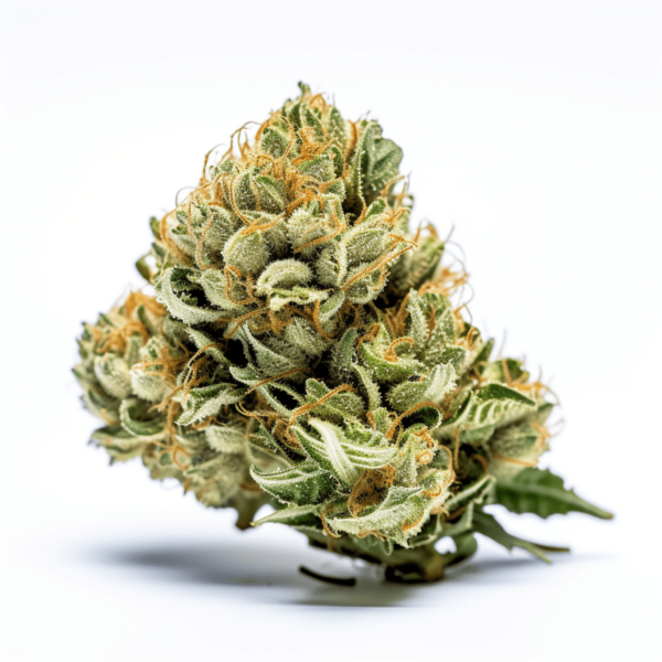 Blue Dream Cake Autoflower - Seeds Genetics