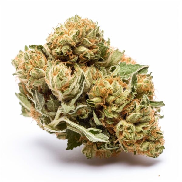 Bruce Banner Autoflower - Seeds Genetics