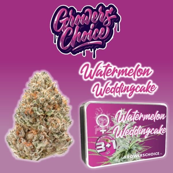 Watermelon Weddingcake - Growers Choice