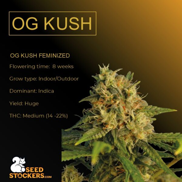 O.G. Kush - Seed Stockers