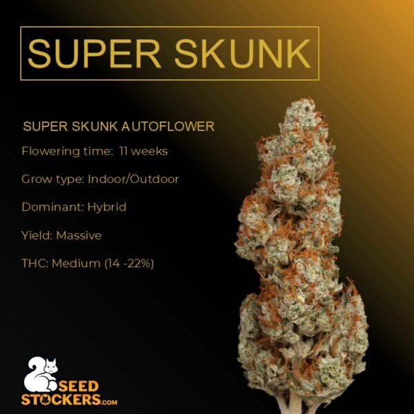 Super Skunk Autoflower - Seed Stockers