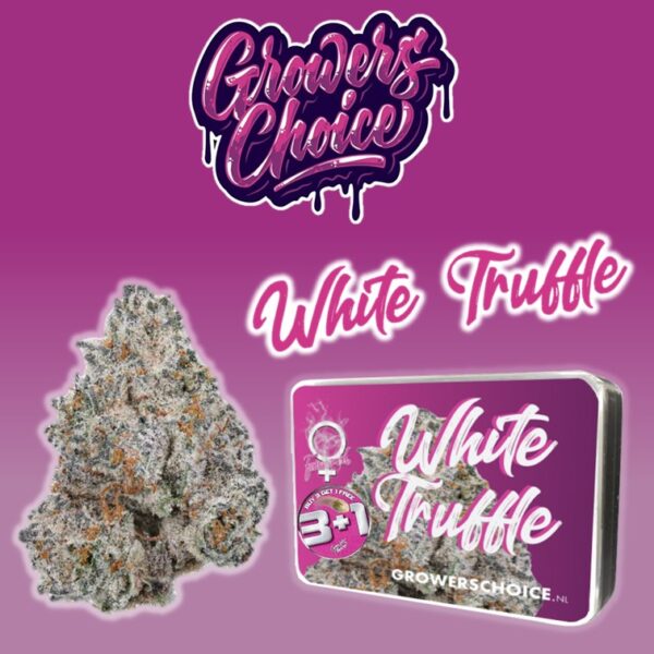 White Truffle - Growers Choice