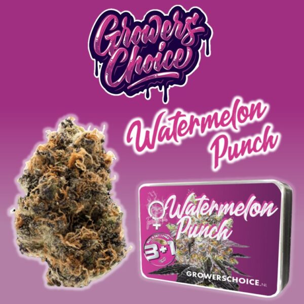 Watermelon Punch - Growers Choice