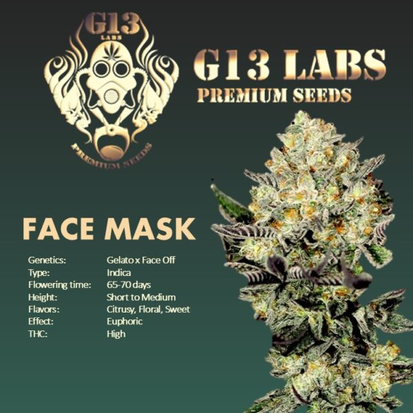 Face Mask - G13 Labs