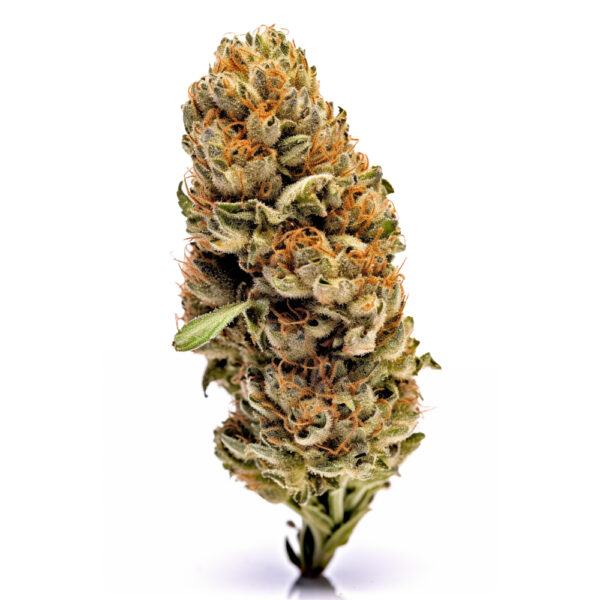 Do Si Dos X Zkittlez - Seeds Genetics