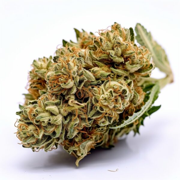 Sour Diesel Haze Autoflower - Seeds Genetics