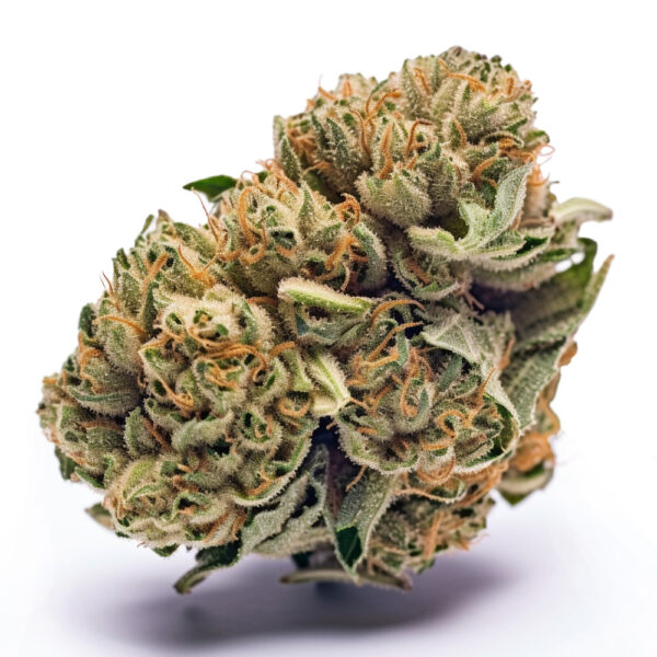 Strawberry Glue - Seeds Genetics