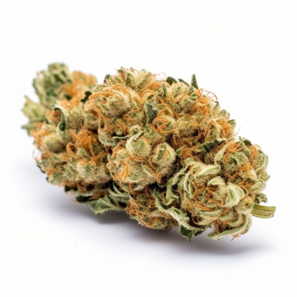 Super Lemon Haze Autoflower - Seeds Genetics