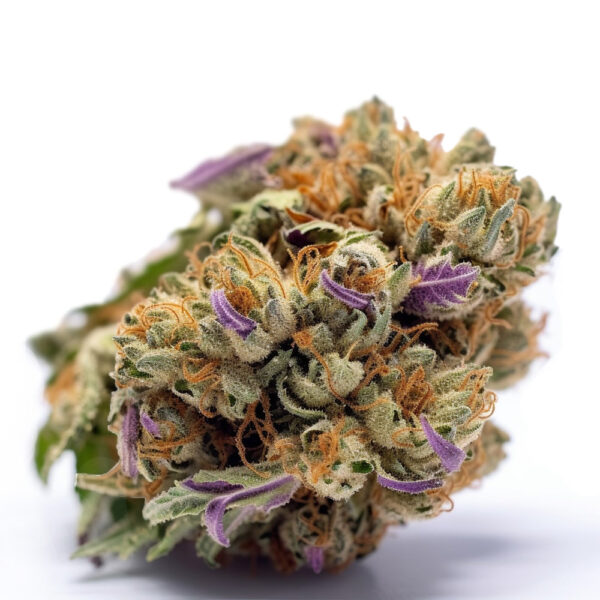 Zkittlez Autoflower - Seeds Genetics