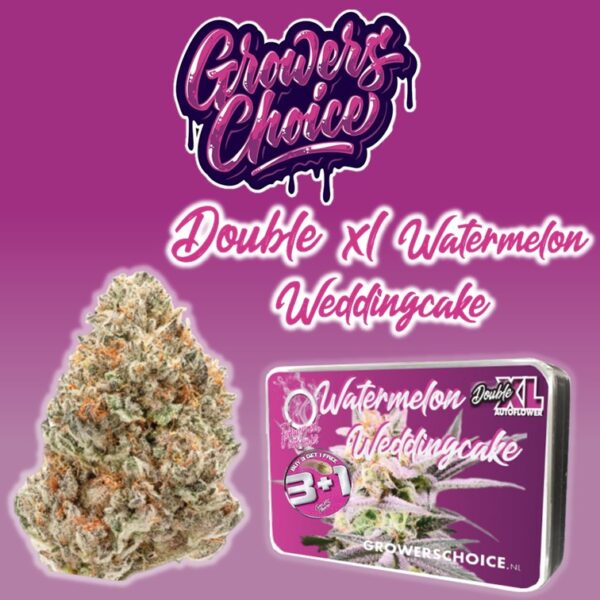 Double xl Watermelon Weddingcake Autoflower - Growers Choice