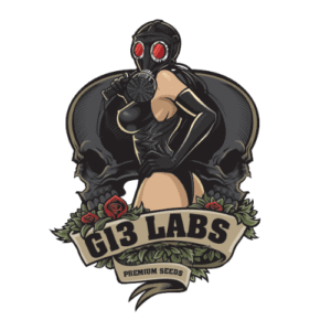 G13 LABS
